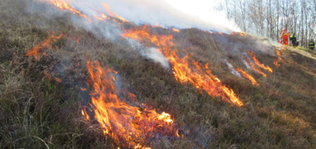 Revoca stato di massima pericolosità per incendi boschivi