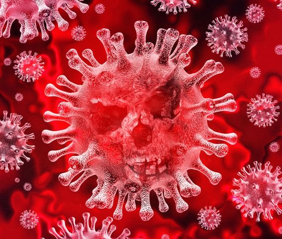 Nuovo Coronavirus Covid 19 Regione Piemonte Ordinanza Contingibile Ed Urgente N 1 Comune Di Monale